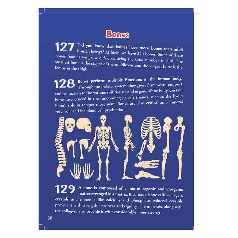 Human body facts for kids book, Fun educational books for kids