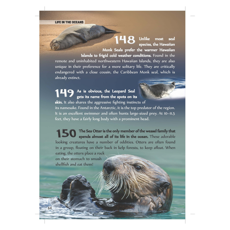 500 Fascinating Facts About the Underwater World for Kids


