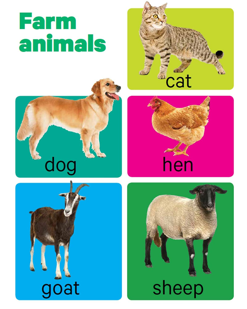 Early Learning Animals Board Book for Kids – Farm, Wild & Marine Animal Picture Book (Age 1+ Years)