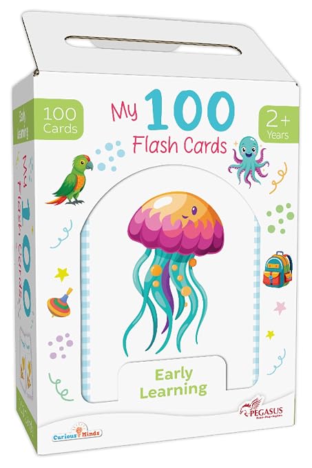 My 100 Flash Cards - Early Learning Flash Cards for Kids Babies