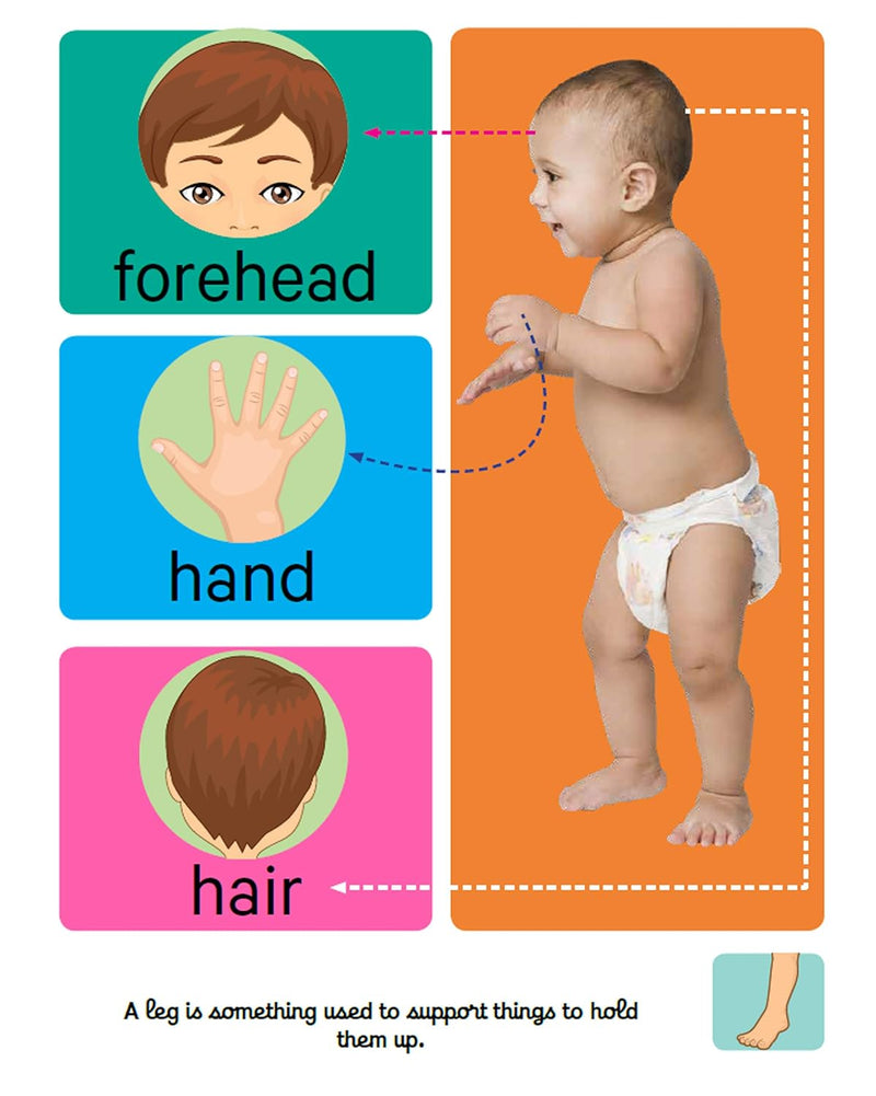 Early Learning Human Body Board Book for Kids – Body Parts Learning Picture Book (Age 1+ Years)