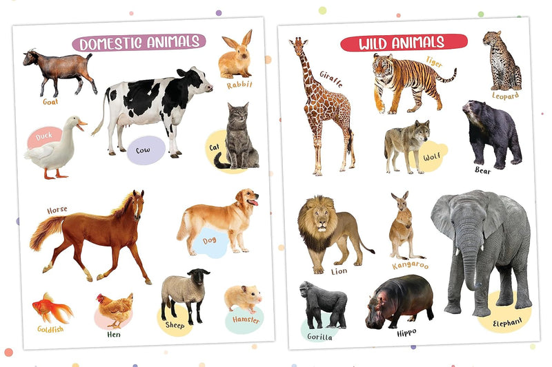 Wipe & Clean - My First Poster Book - Animals