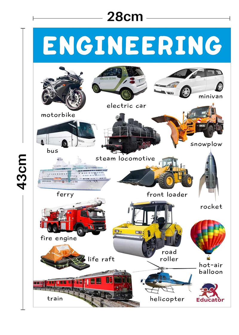 Stem Charts - 4 Jumbo Charts