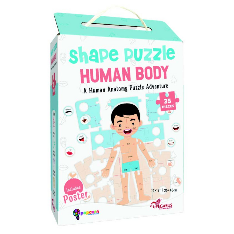 Shape Puzzle - Human Body