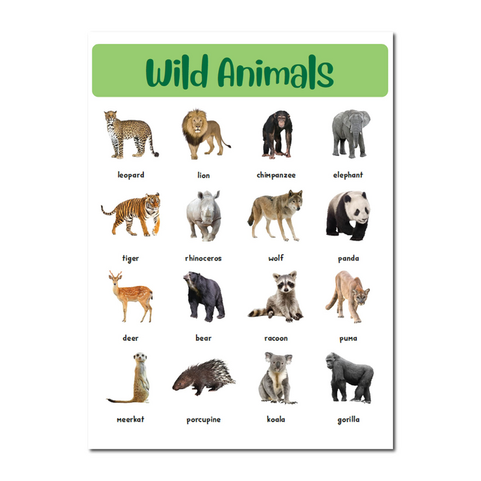 400+ Ultimate Stickers Book – Animals and Birds
