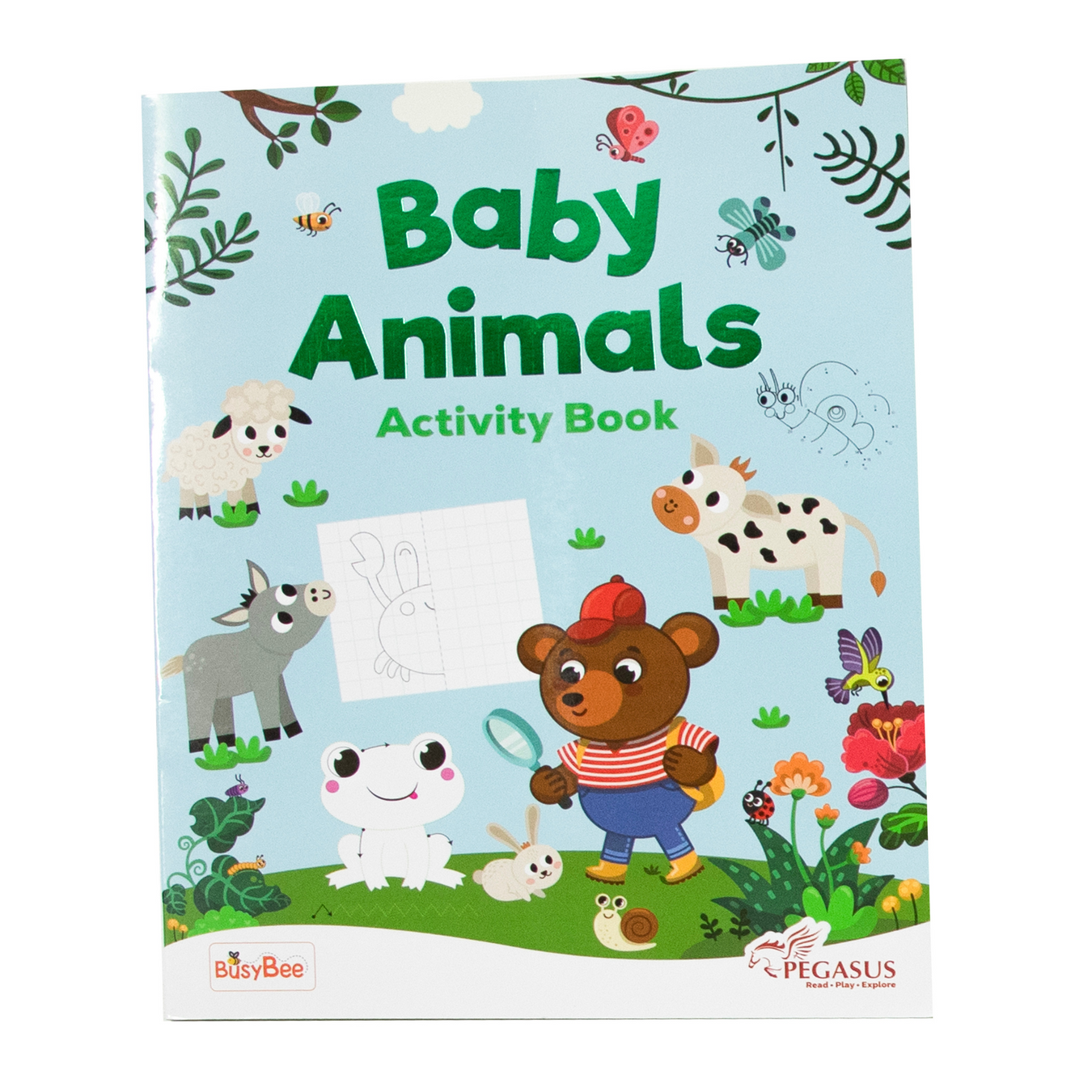 Pegasus Activity Books