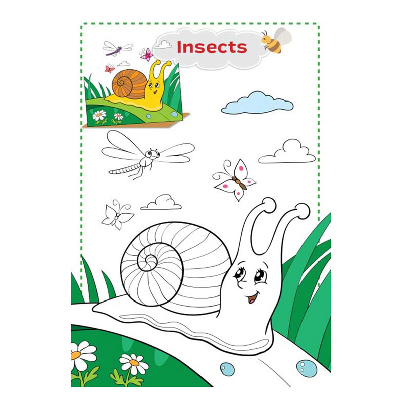 Super Jumbo Colouring Book (World Around Us)