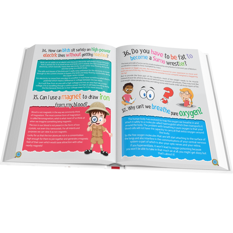 365 Curious Questions & Answers: A Fun Guide for Kids Knowledge & Learning