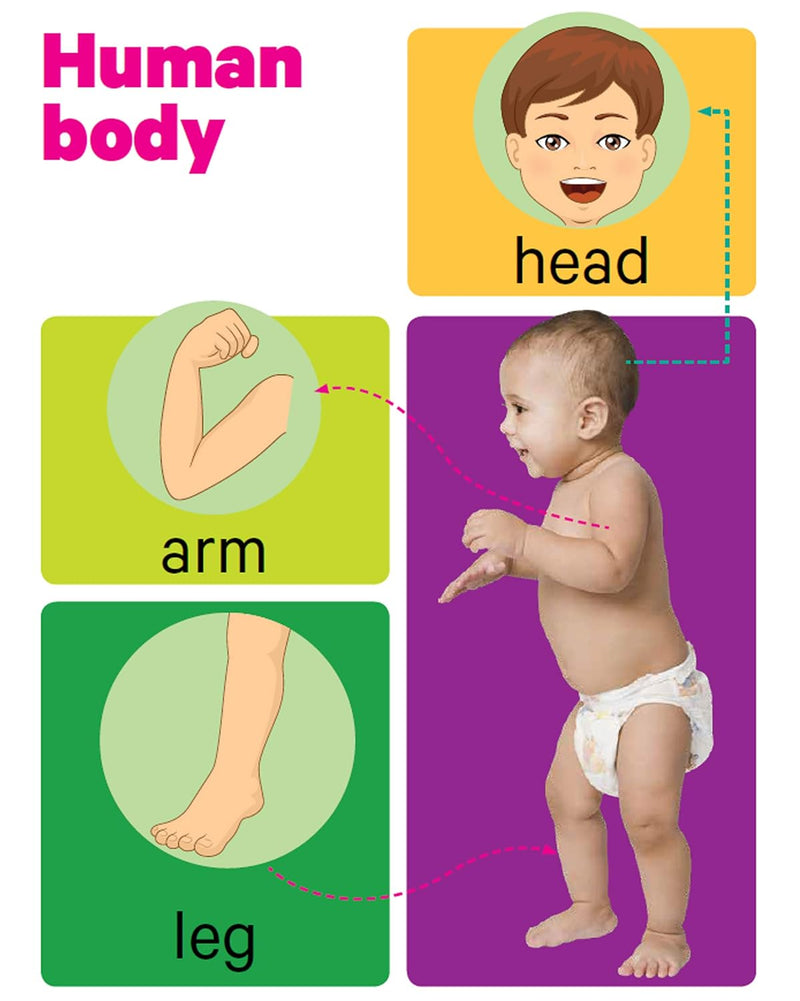 Early Learning Human Body Board Book for Kids – Body Parts Learning Picture Book (Age 1+ Years)