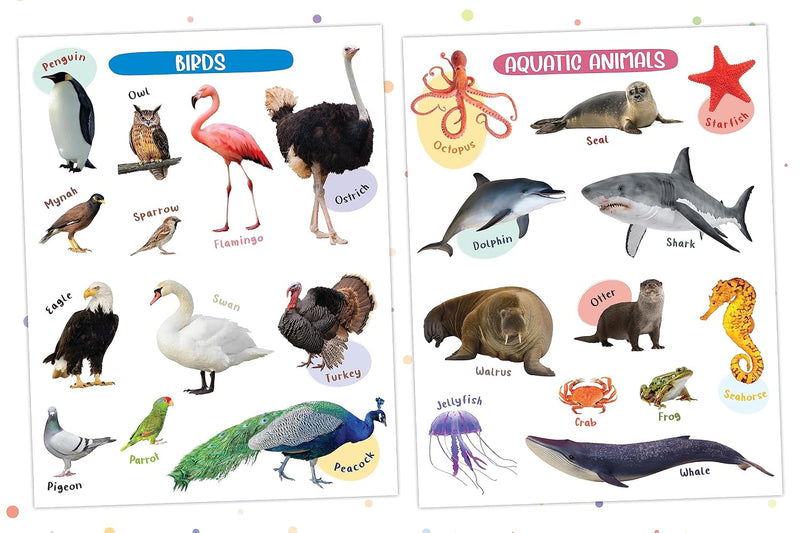 Wipe & Clean - My First Poster Book - Animals