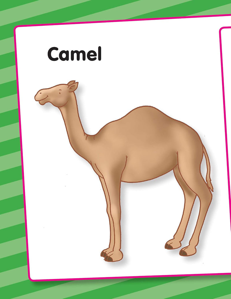 Animals & Birds - My Very First Preschool Book