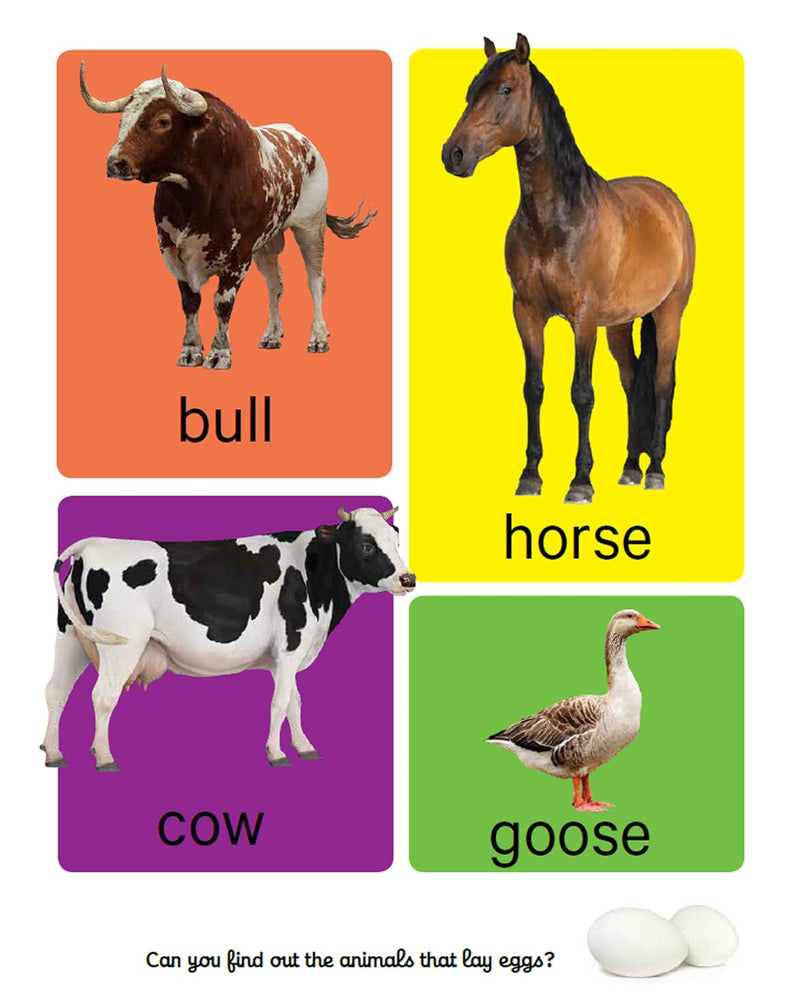 Early Learning Animals Board Book for Kids – Farm, Wild & Marine Animal Picture Book (Age 1+ Years)