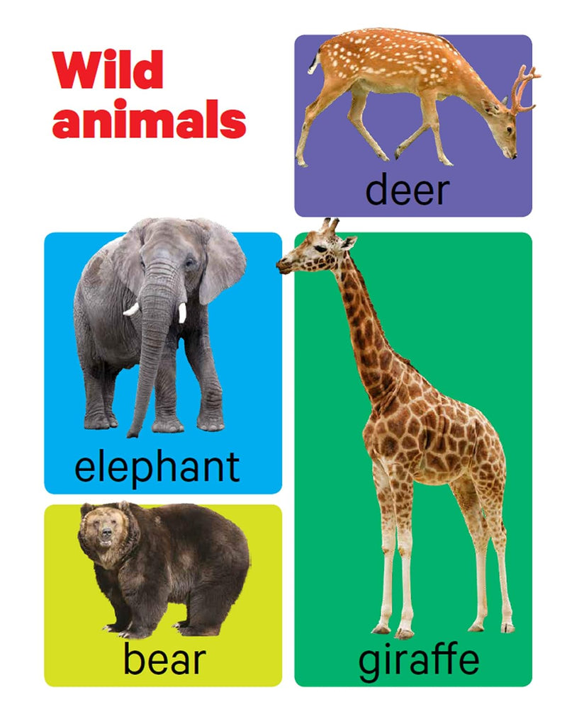 Early Learning Animals Board Book for Kids – Farm, Wild & Marine Animal Picture Book (Age 1+ Years)