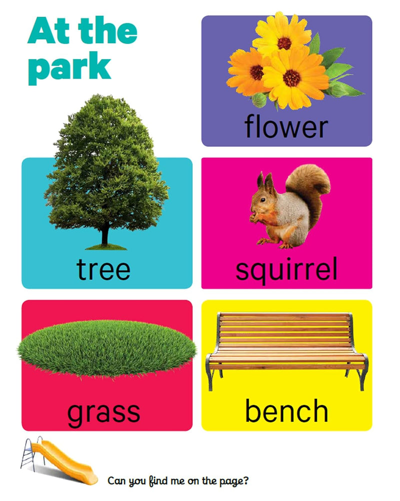 Early Learning First Words Board Book for Kids – Everyday Objects Recognition Book (Age 1+ Years)