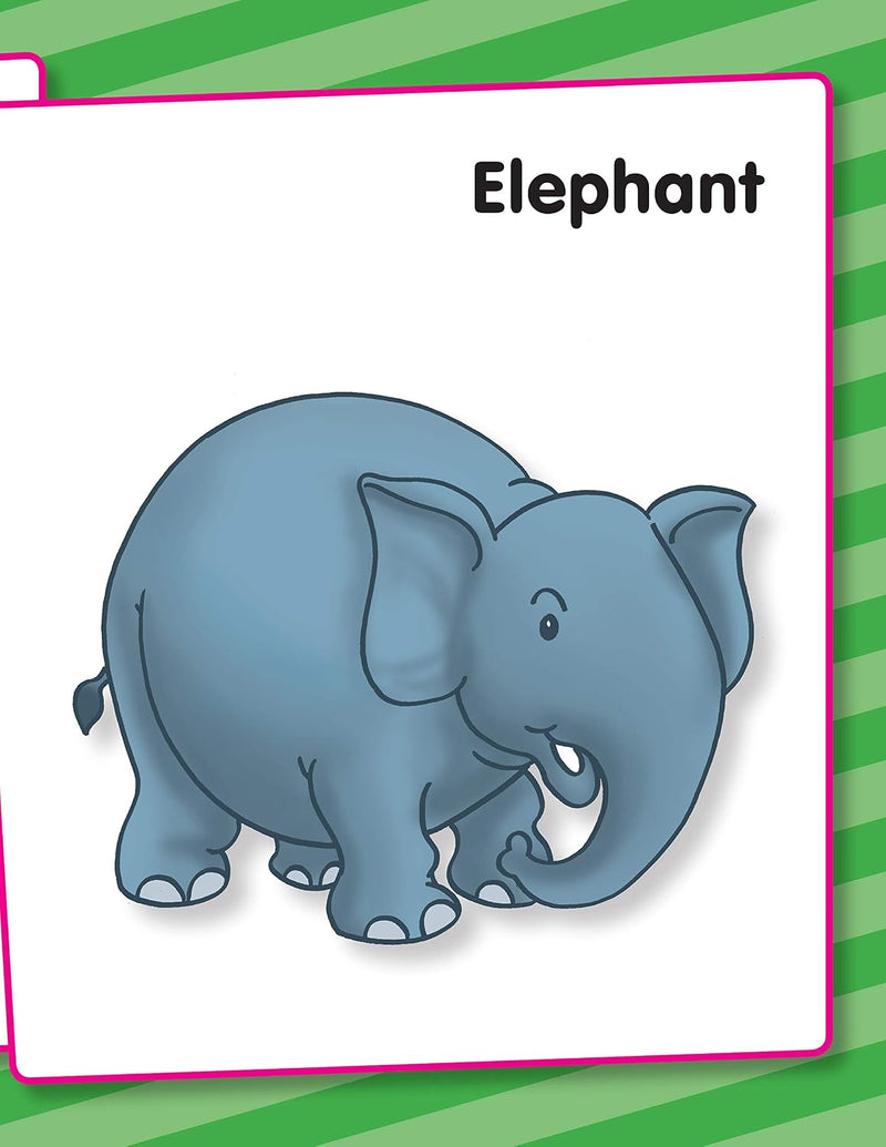 Animals & Birds - My Very First Preschool Book