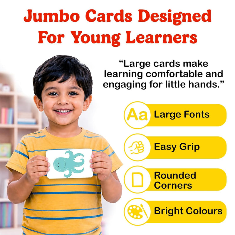 Animals & Birds - Flash Cards
