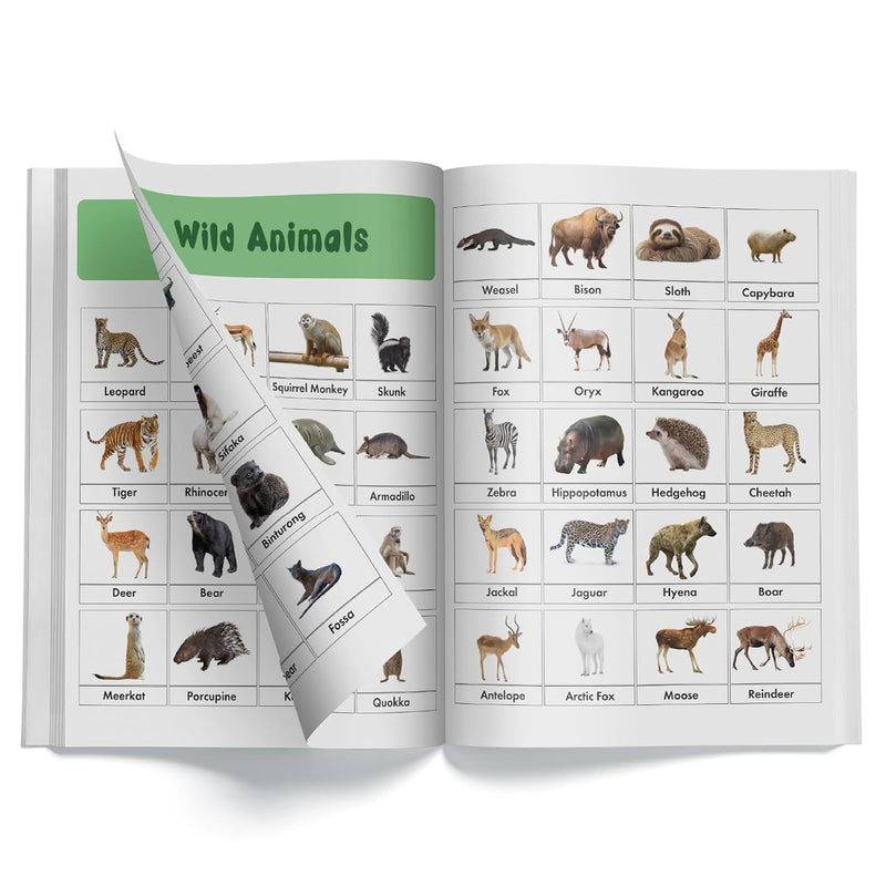 1001 Animals & Birds Stickers for Children – Fun & Educational Sticker Book for Kids