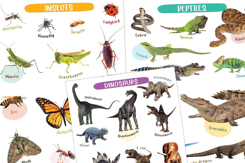 Wipe & Clean - My First Poster Book - Animals