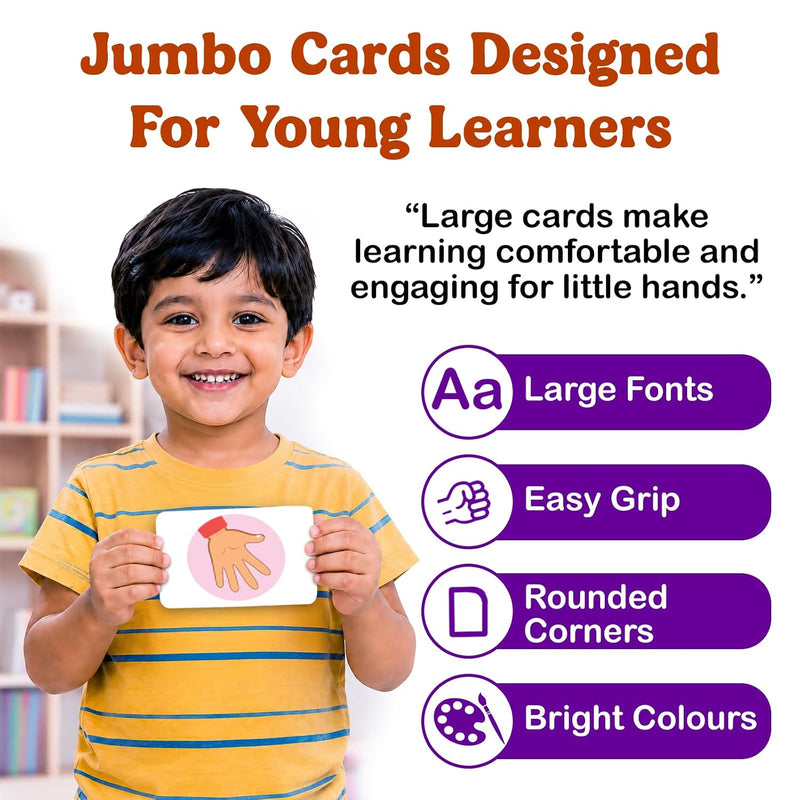 Human Body - Flash Cards