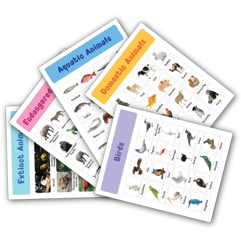 1001 Animals & Birds Stickers for Children – Fun & Educational Sticker Book for Kids