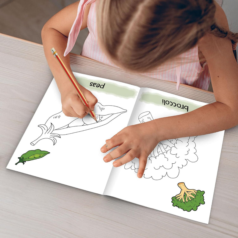 3-in-1 Fruits & Vegetables Learning Kit for Kids – Early Learning & Preschool Kit (Age 3+ Years)