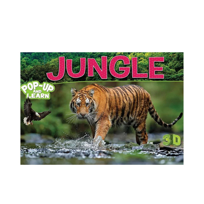 Fun Learning & Adventure Bundle (Ages 4-6)