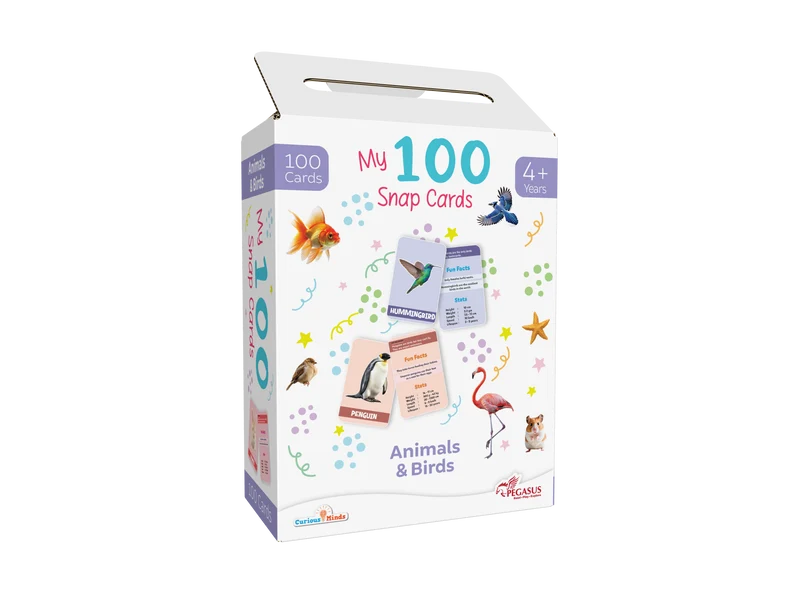 Brain Boost Learning Bundle (Ages 2-4)