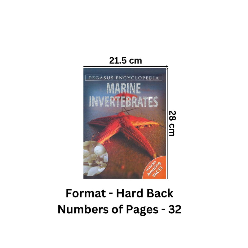 PEGASUS ENCYCLOPEDIA Marine Invertebrates: 1 (Sea World)