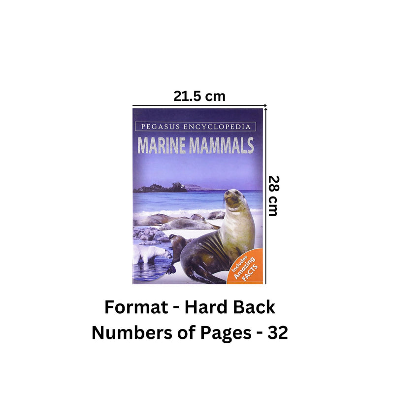Marine Mammals: 1 (Sea World)