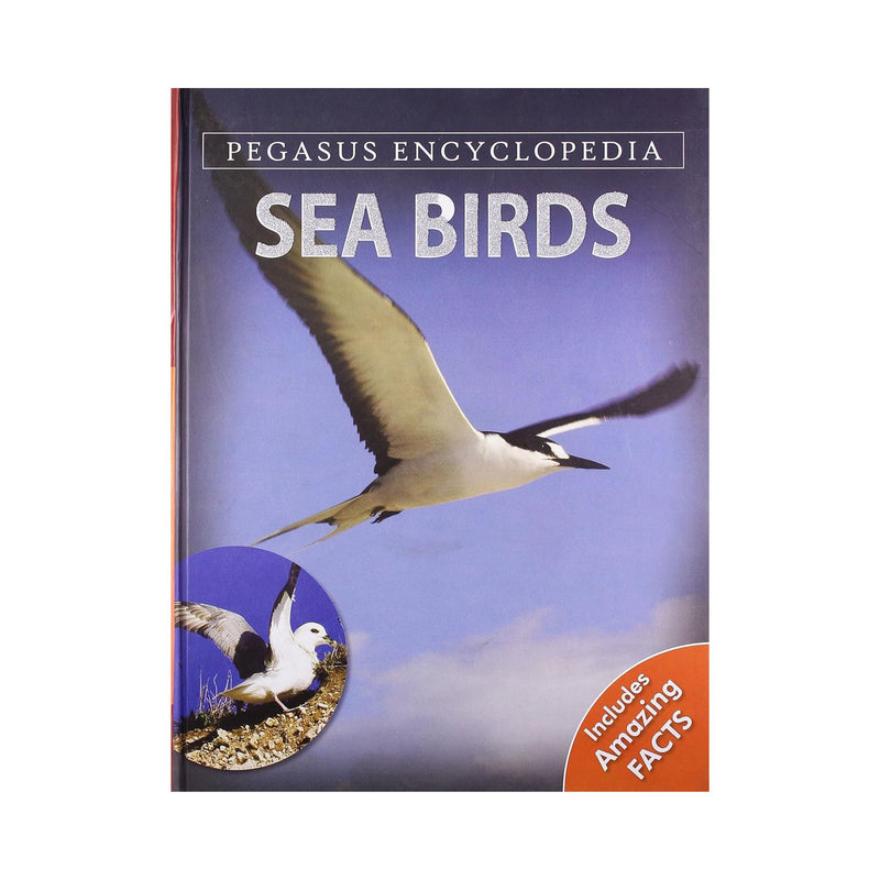 Sea Birds: 1 (Sea World)