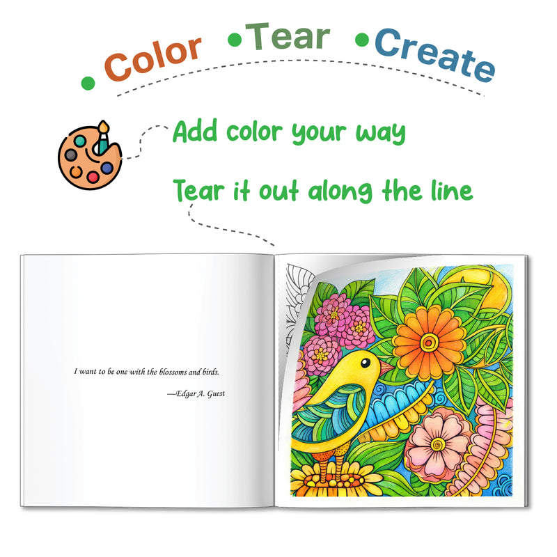 Nature Colouring Book for Adults – Stress Relief & Mindfulness Colouring Book (Age 12+ Years)