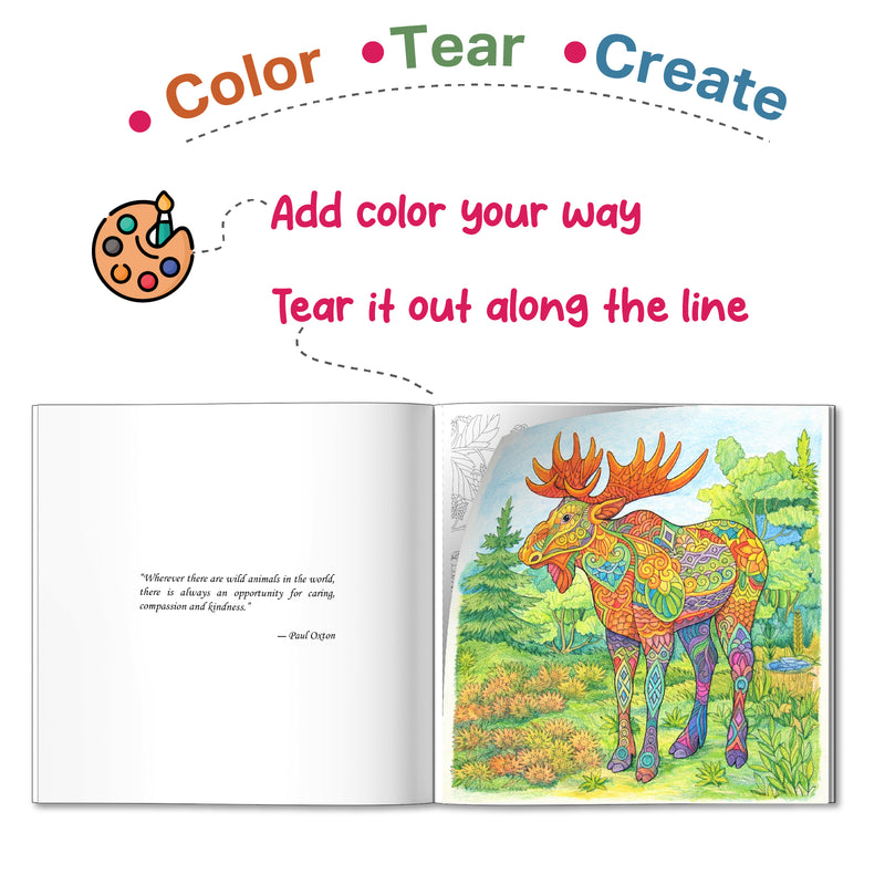 Animals Colouring Book for Adults – Stress Relief & Mindfulness Colouring Book (Age 12+ Years)