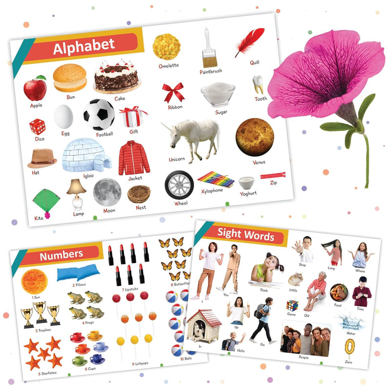 My First Picture Word Book – My First 1000 Words Age 3+ Years