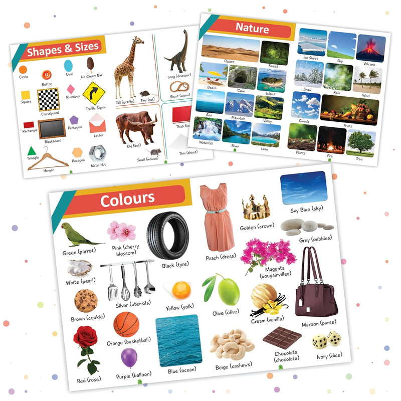 My First Picture Word Book – My First 1000 Words Age 3+ Years