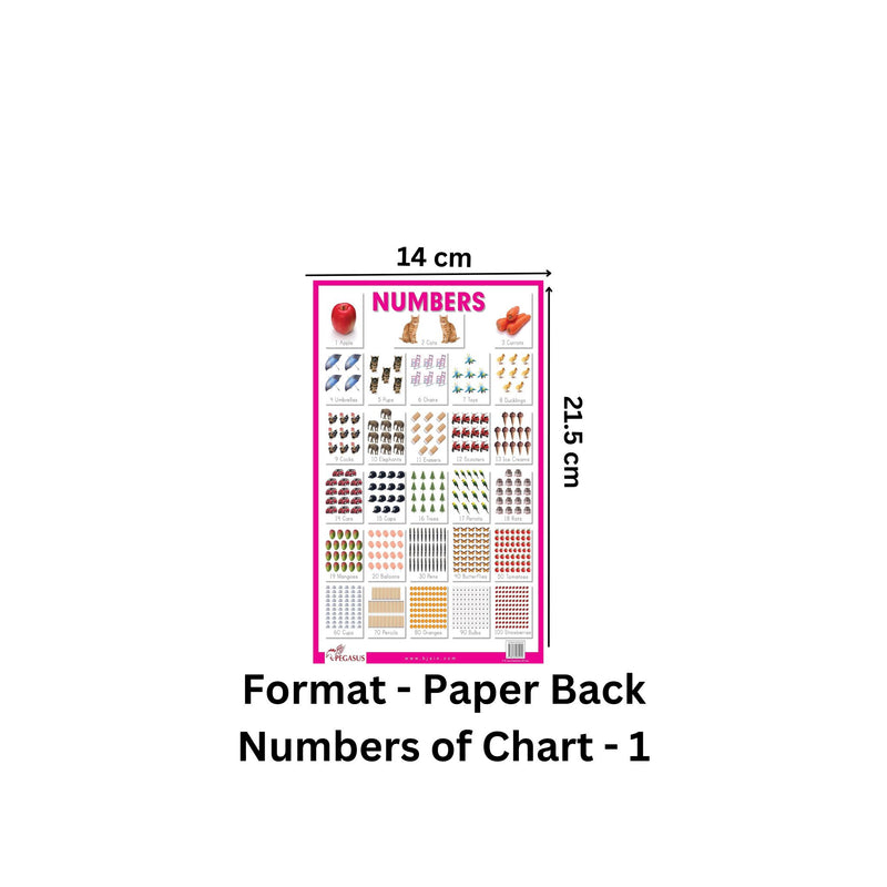 Numbers - Thick Laminated Preschool Chart
