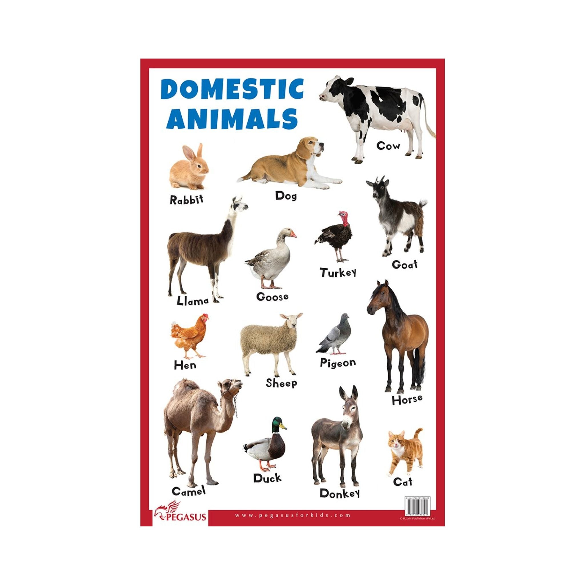 Image For Domestic Animals Chart With Images Animal 740x444