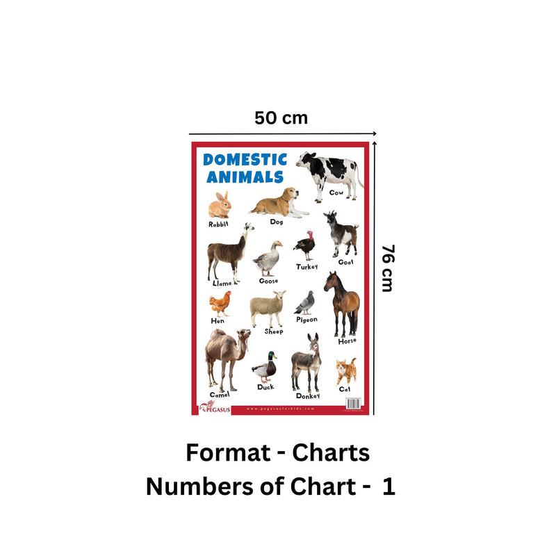 Domestic Animals - Thick Laminated Primary Chart