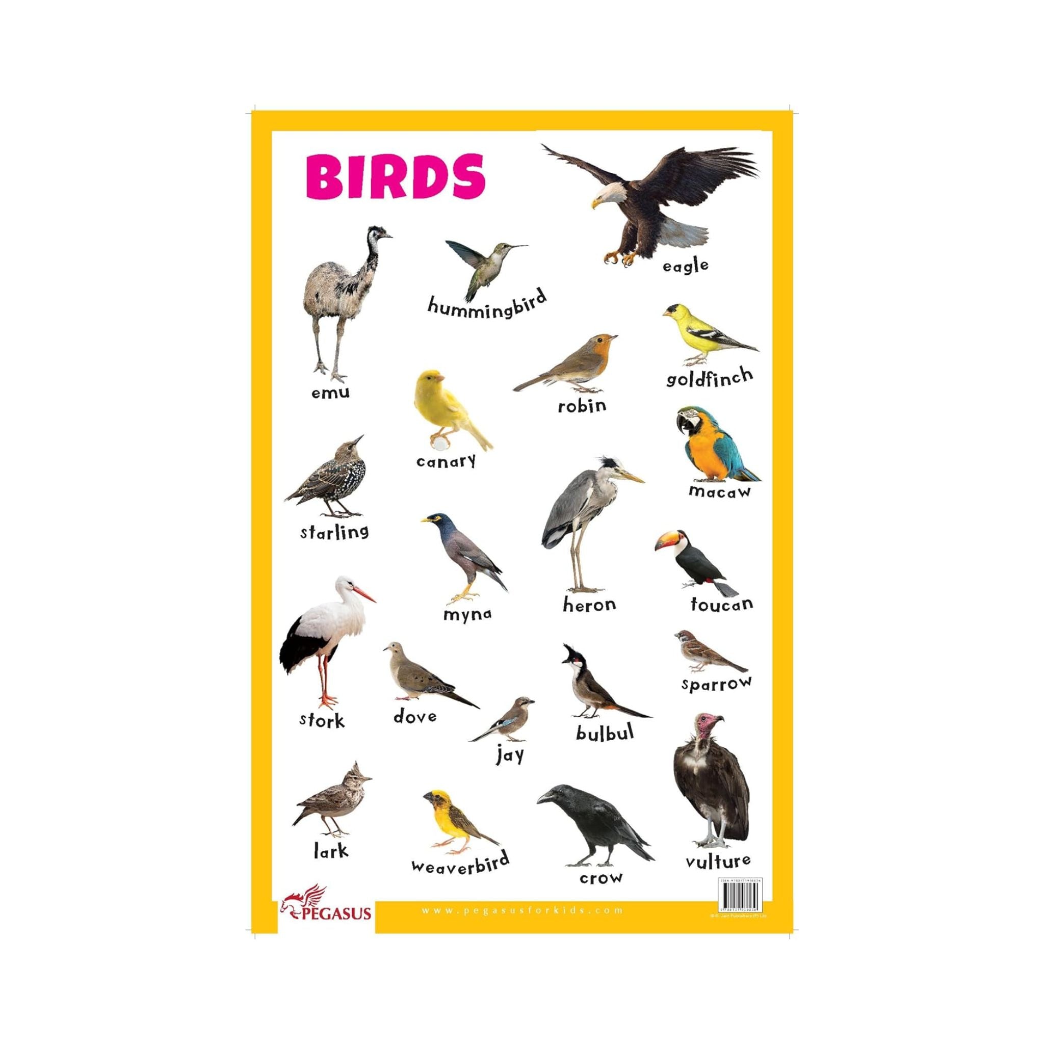 Birds Chart