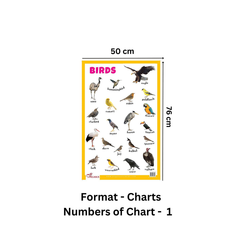 Birds - Thick Laminated Primary Chart