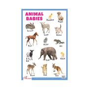Illustrated Animal babies Chart, Animal Baby Educational  Children's Chart