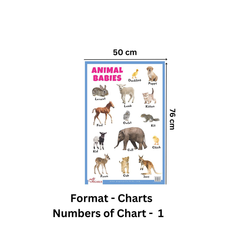 Animal Babies - Thick Laminated Primary Chart