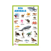 Illustrated ocean creatures Chart, Sae Animals Charts