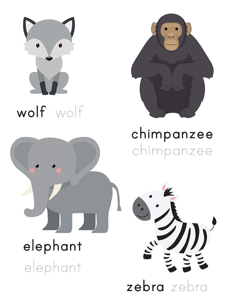 Wipe & Clean – Animals | Reusable Workbook with Marker