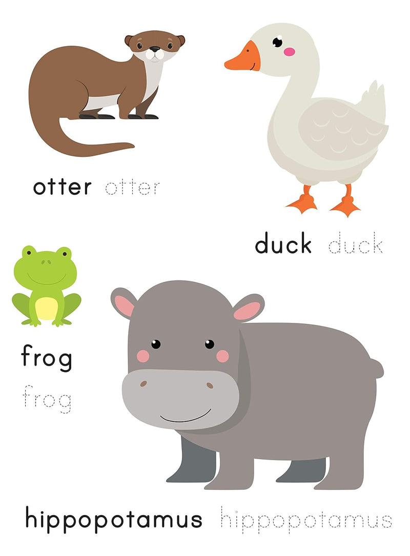 Wipe & Clean – Animals | Reusable Workbook with Marker