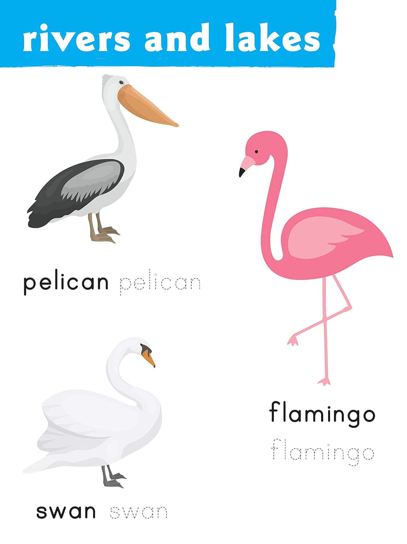 Wipe & Clean – Animals | Reusable Workbook with Marker