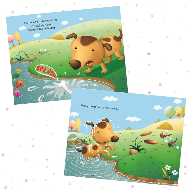 The Dog and His Reflection