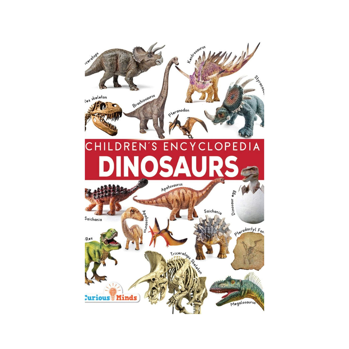 Children's Encyclopedia