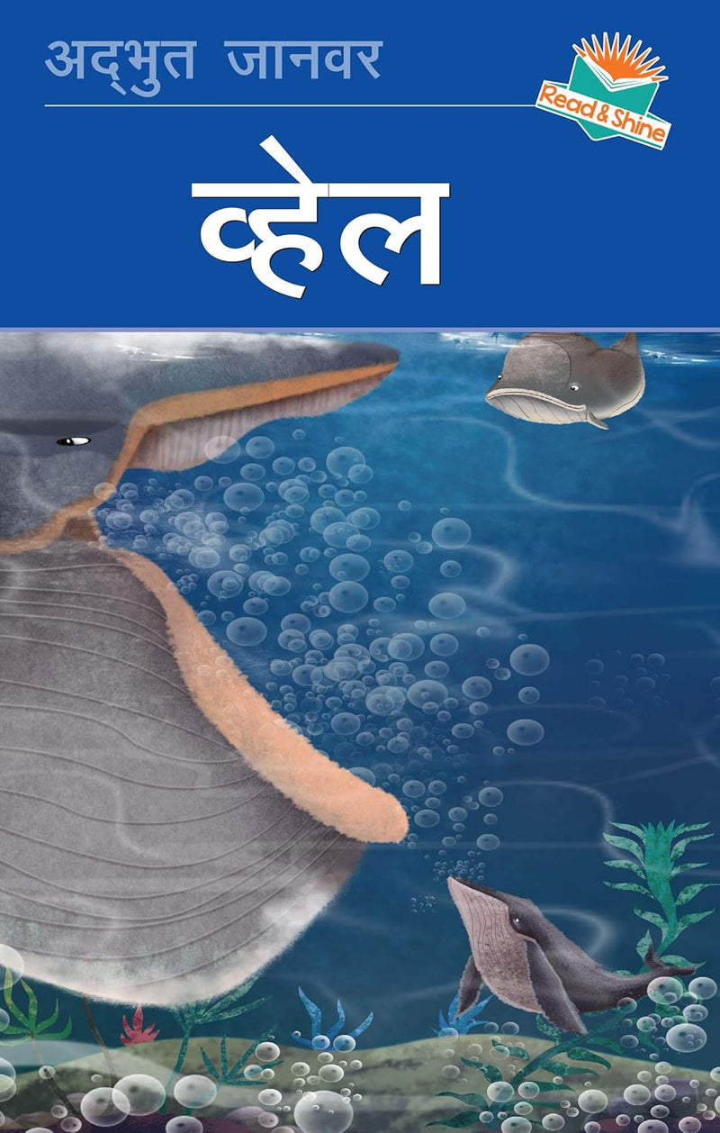 Whale (Hindi) | Little Kitabi – Early Readers