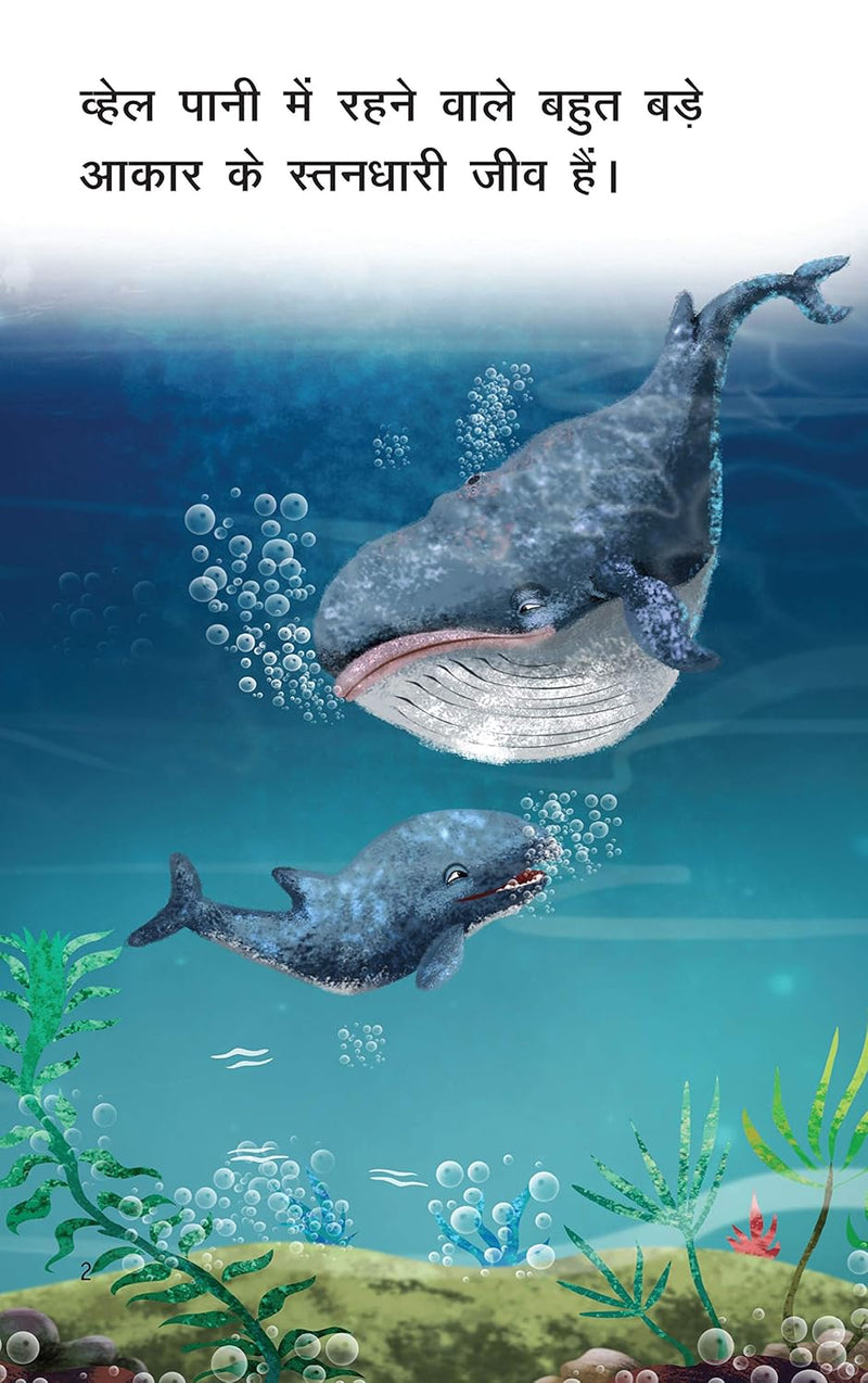 Whale (Hindi) | Little Kitabi – Early Readers