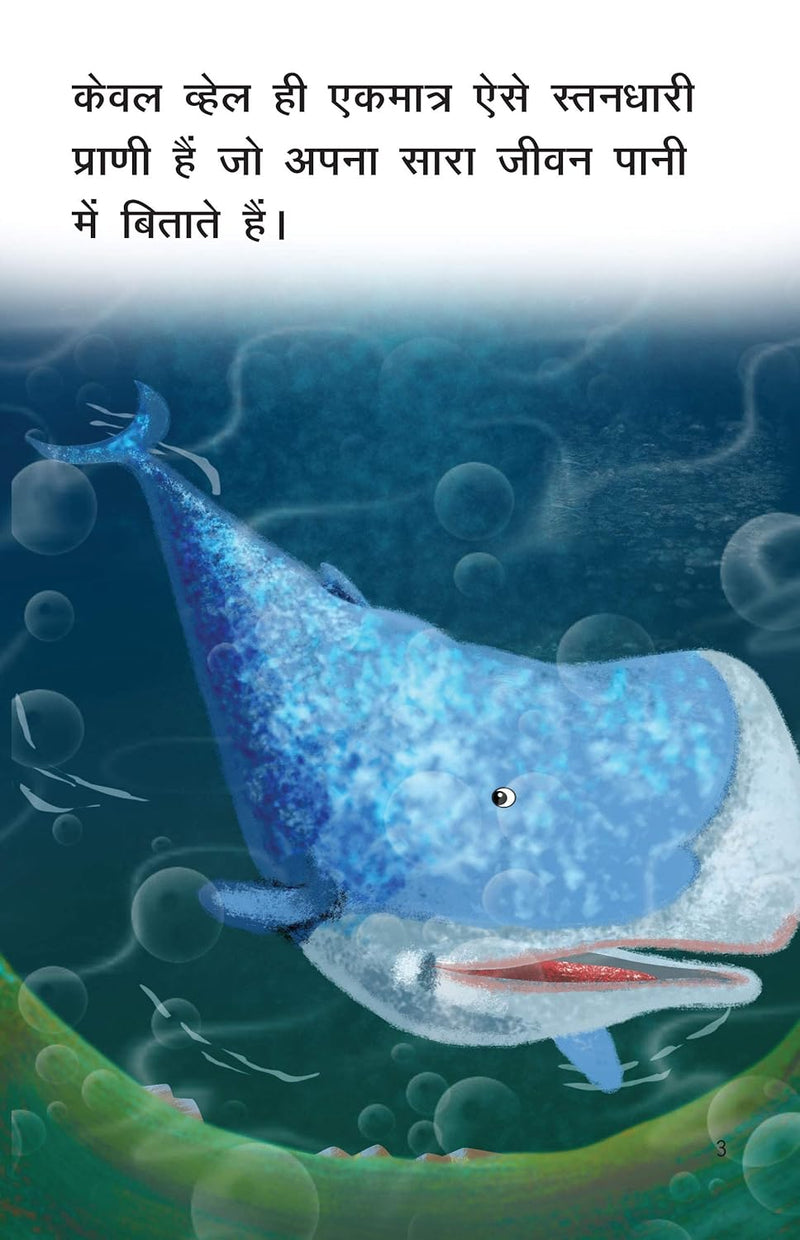 Whale (Hindi) | Little Kitabi – Early Readers